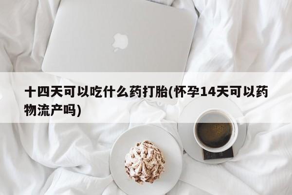 药流药购买微信十四天可以吃什么药打胎(怀孕14天可以药物流产吗)